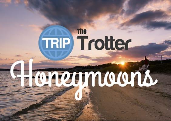 The Trip Trotter