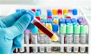 Progressive DNA and Drug Testing