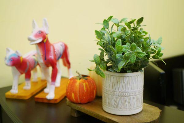 Jiang Yang Acupuncture