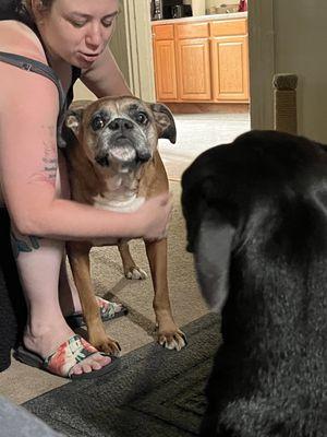 Dietzen's Heating Air Conditioning & Plumbing