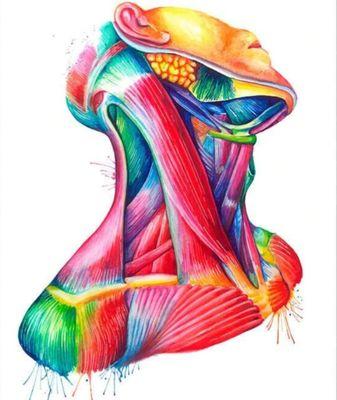 Align Manual Therapy