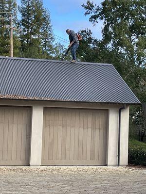 V&G Window Cleaning and Maid Services