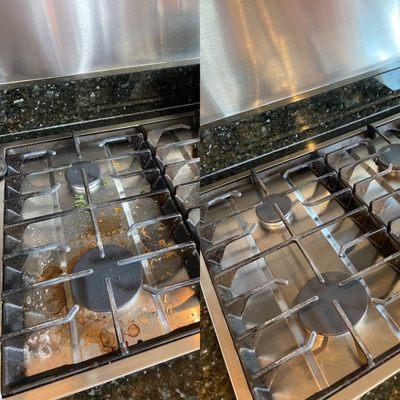 Ficus & Fir Cleaning