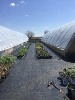 Grandma Marie's Greenhouse