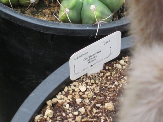 University of Washington Biology Greenhouse