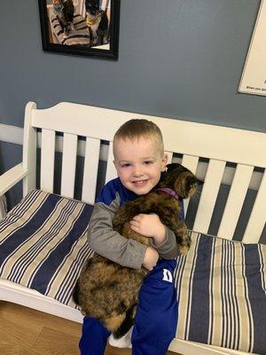 North Windham Animal Hospital