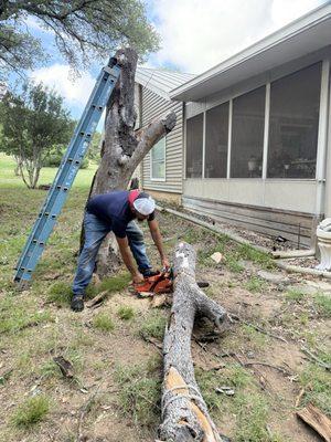 Obreros Remodelation and Tree service