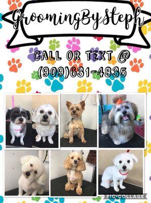 Summer Sudz Dog Grooming by Steph