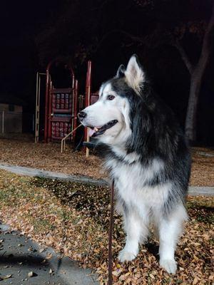 From Christmas Eve 2022