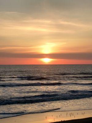 Sunset wedding photos
#ShortAndSweetCeremonies