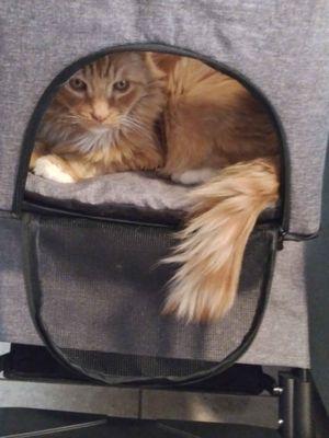 Durham Mobile Veterinary Care