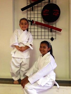 American Taekwondo Academy