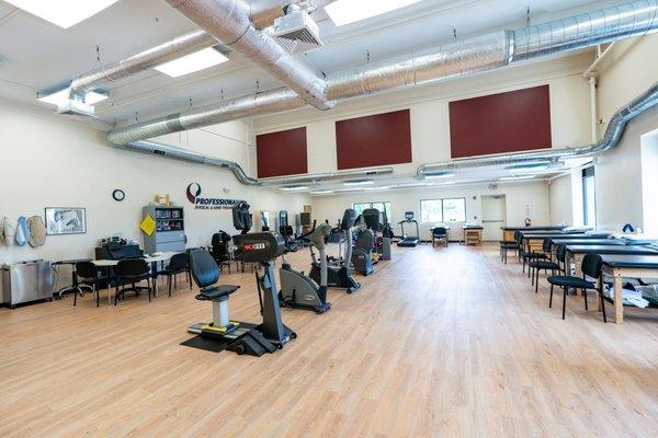 Professional Physical Therapy