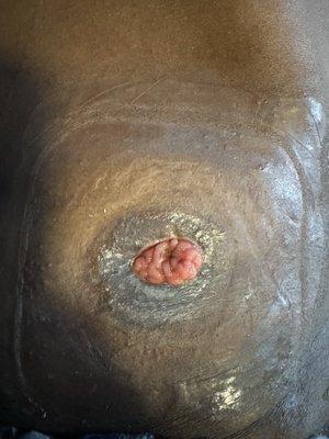 Unison Health Services