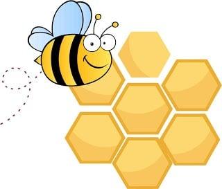 Busy Bee Cleaning Service