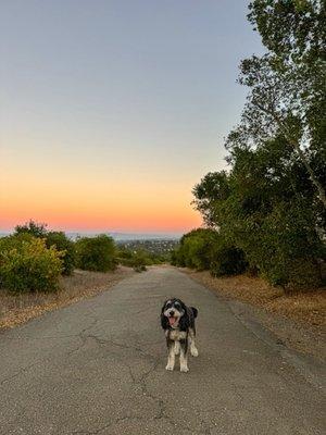 Pulgas Ridge Open Space Preserve