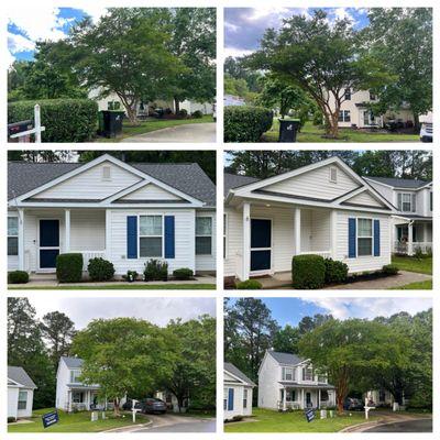 Me and my neighbor's trees turned trimmed and shiny! Front of the house has living bushes now!