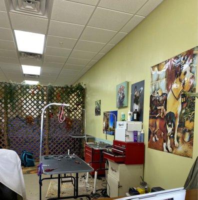 Inside of the pet salon.