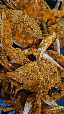 7'30'2025 1/2 Dozen of Large Male Crabs.