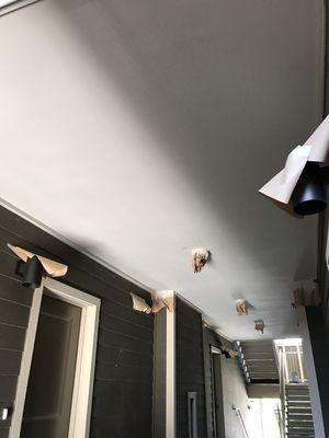 SLV Professional Painters