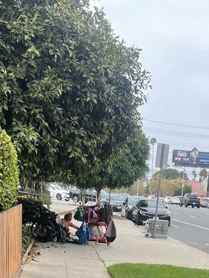 Emmett Ochs Investments