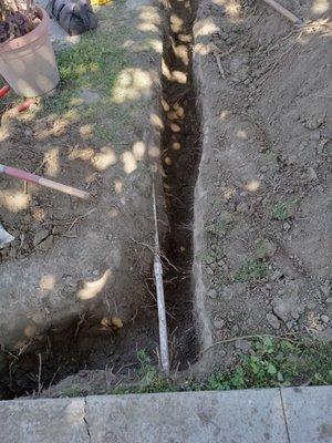 Chase Plumbing and Drains