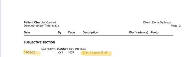 Records stating that she received her DHPP August 20th of 2020.
