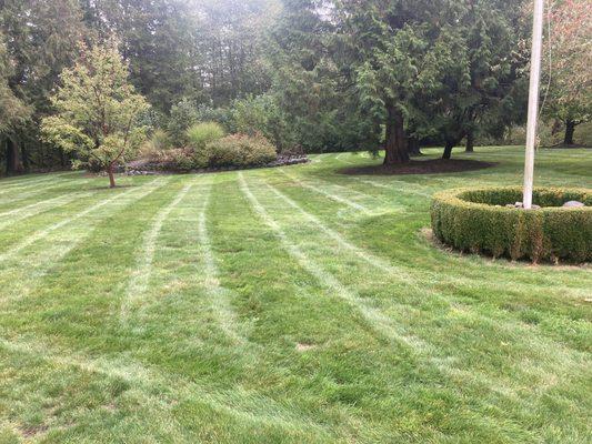 TerraScapes Restoration