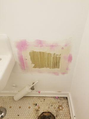 Seattle Hammer Repair