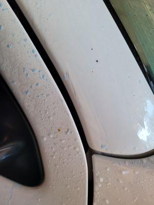 Express Wash Drive Thru