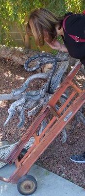 Carole Molchany - Access Realty