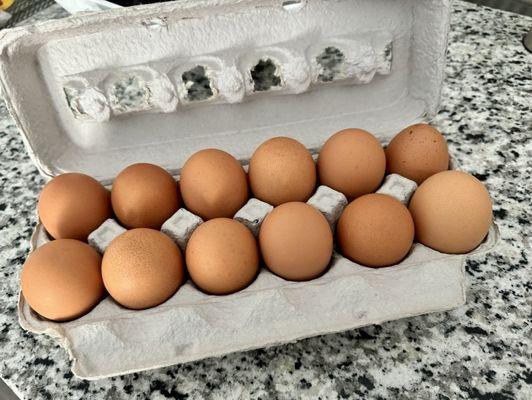Dozen jumbo eggs