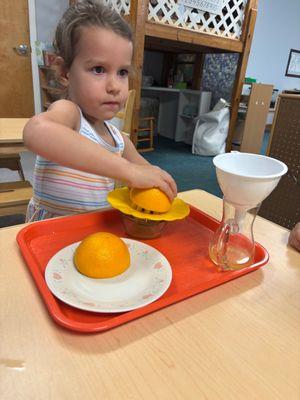"Practical life in action! From squeezing oranges to pouring juice, children build independence and motor skills through real-life tasks."