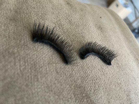 Lash and Brow Spa