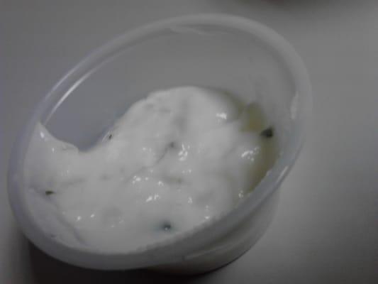 This is a "full" container of tzatziki