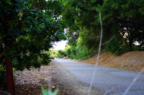 San Tomas Aquino Creek Trail/Saratoga Creek Trail Reach 5