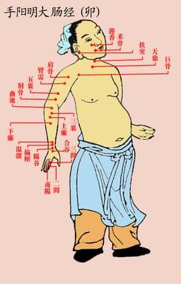 Acupuncture meridians