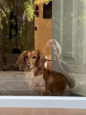 Hounds Town - Morrisville