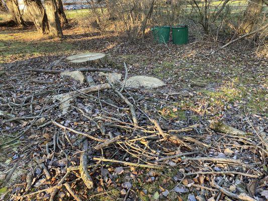 William's Tree Service