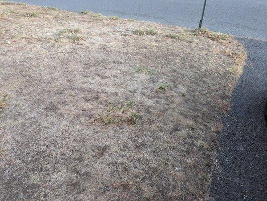 Lawn Doctor of SE Mercer & Middlesex County