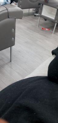 BioLife Plasma Services