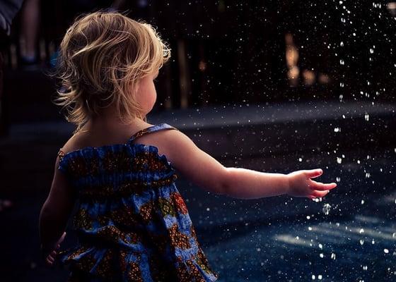 Nikki Lallatin Photography