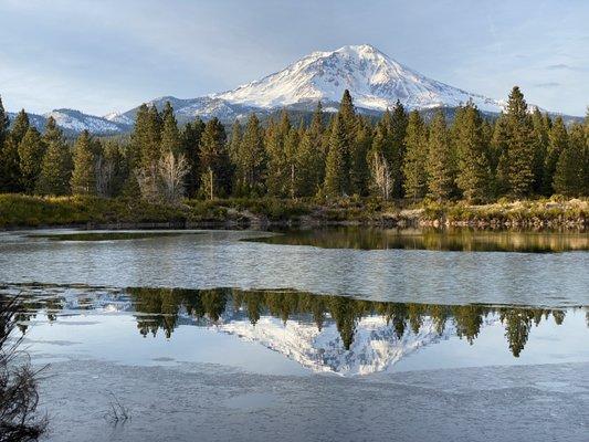 Toad Hollow Vacation Home