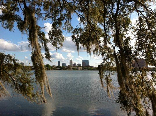 View of Downtown Orlando