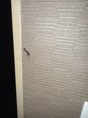 Son cabellos embarrados en la pared !!!