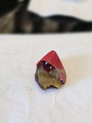 Cacao & Cardamom Chocolatier