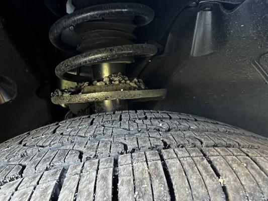 Above All Mobile Detailing