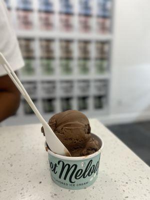 Sweet Melody Ice Cream