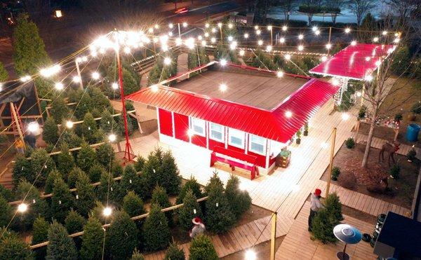 We have trees of all sizes, well organized, in a festive and fun atmosphere