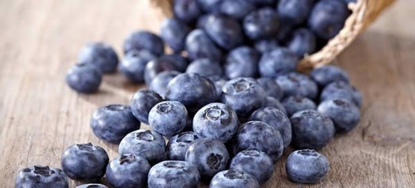 Spinal Healthcare & Physical Medicine